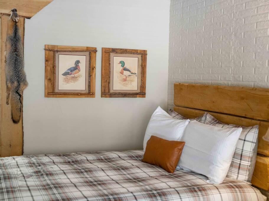 Stonegate Lodge 2 Queen Beds Fast Wifi 50In Tv Salt Water Pool Room # 305 Eureka Springs Buitenkant foto